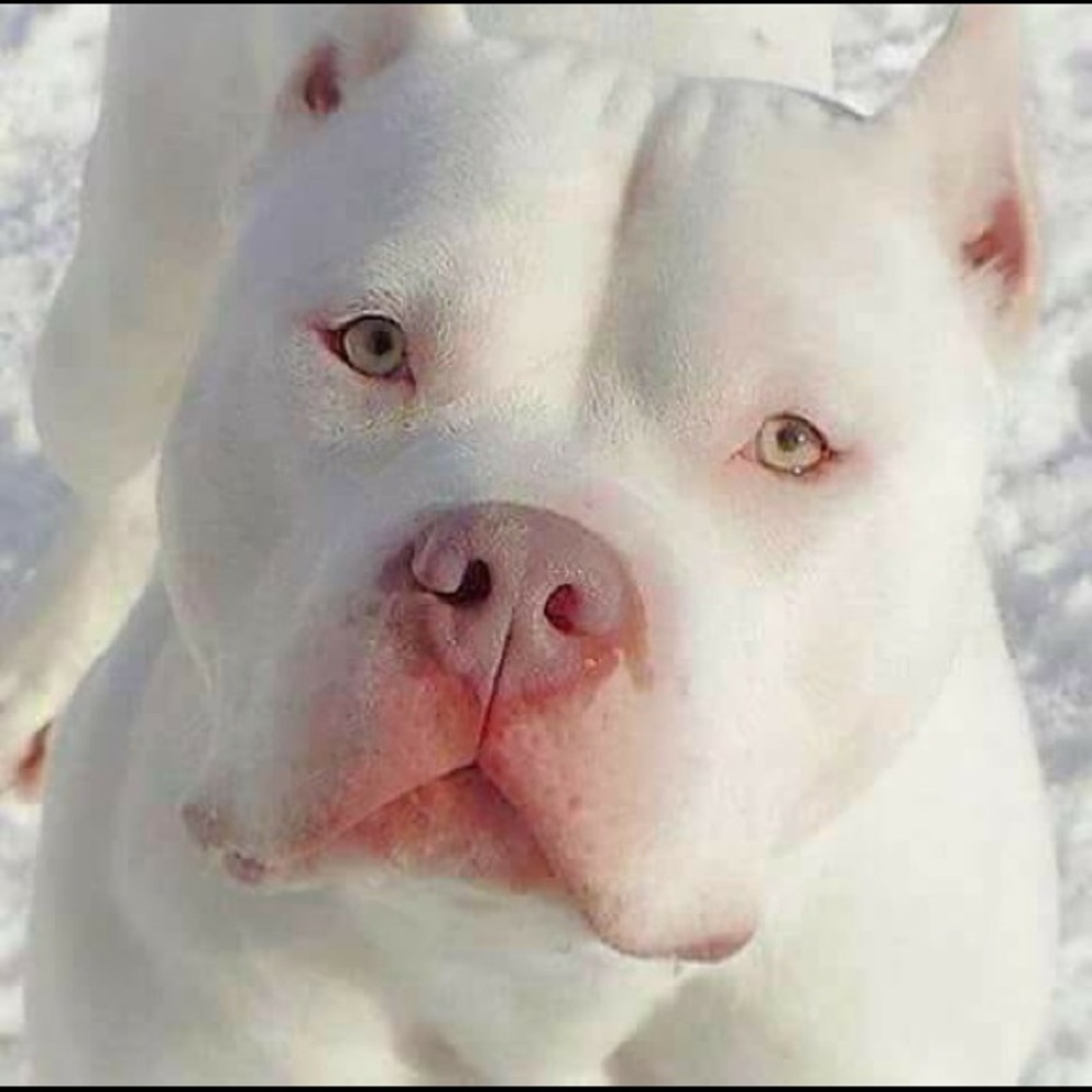 Meet your Posher, Cynthia